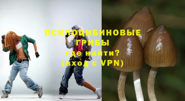 PSILOCYBIN Беломорск