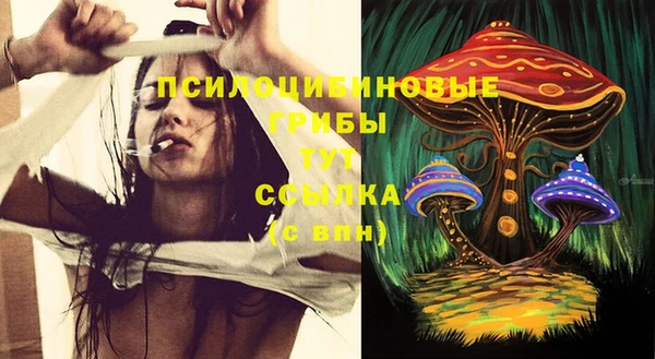 сатива Белоозёрский