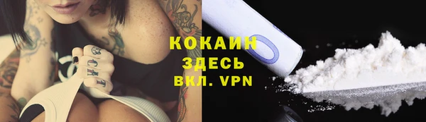 PSILOCYBIN Беломорск