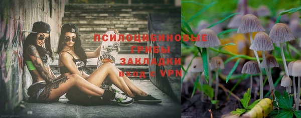 сатива Белоозёрский